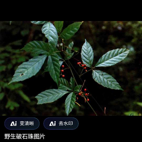 不知道了