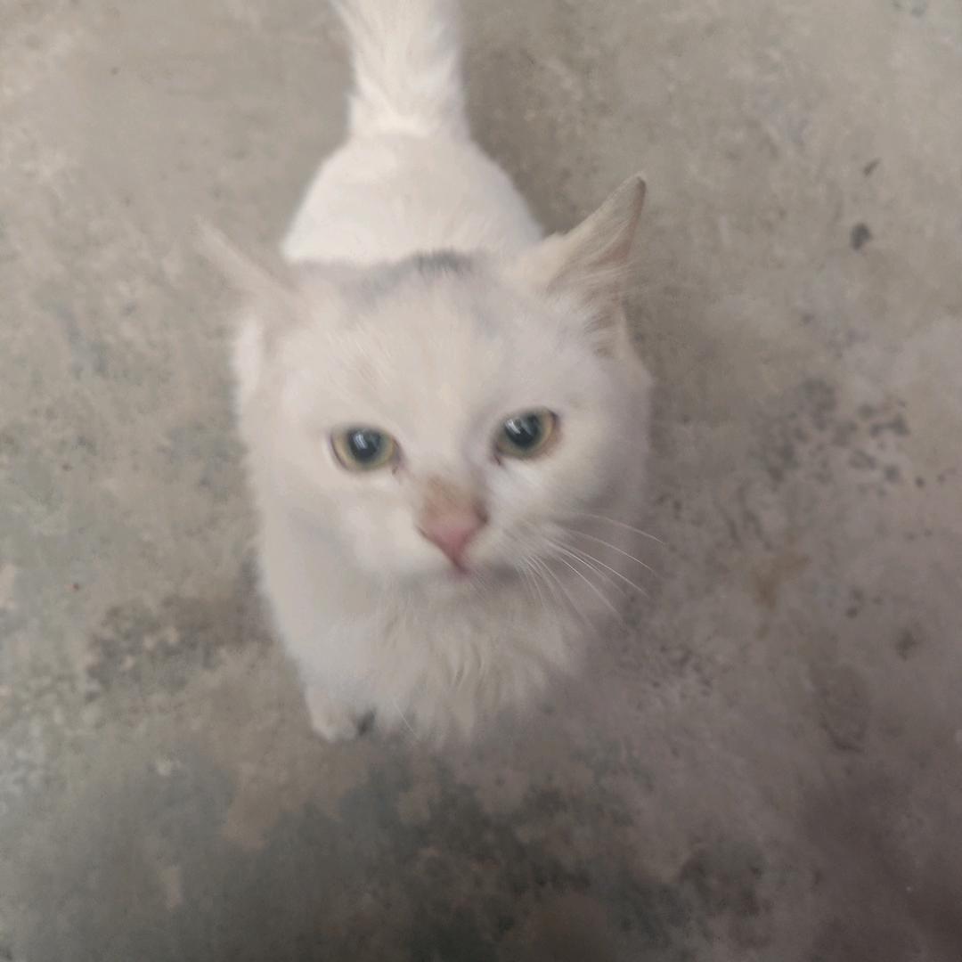 三角洲行动双人极速流