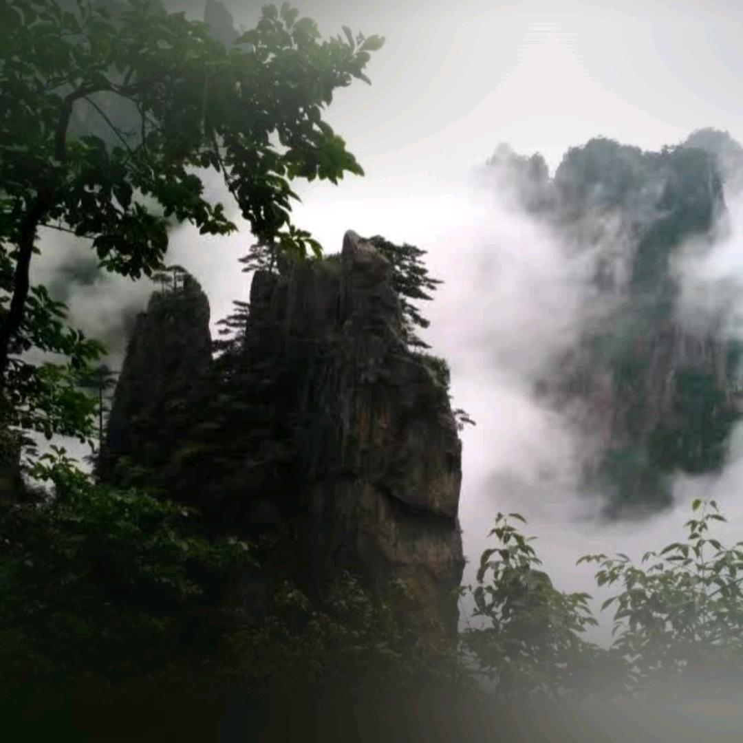将心比心（向阳而生舞团）