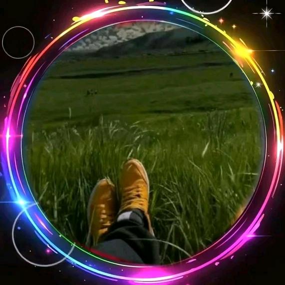 给心灵一点阳光