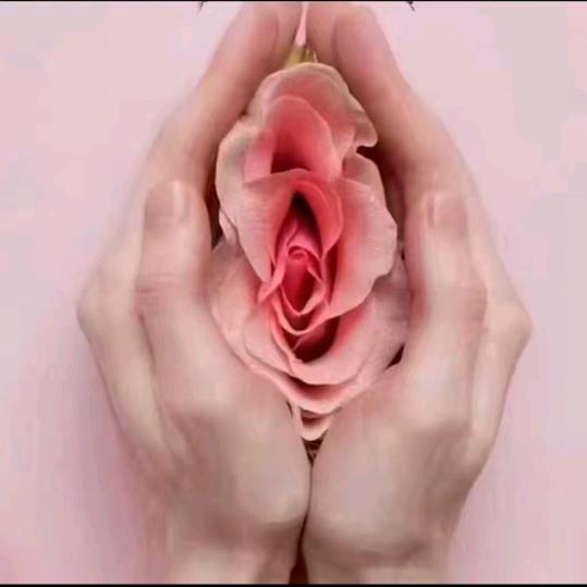 大板蛋姨夫