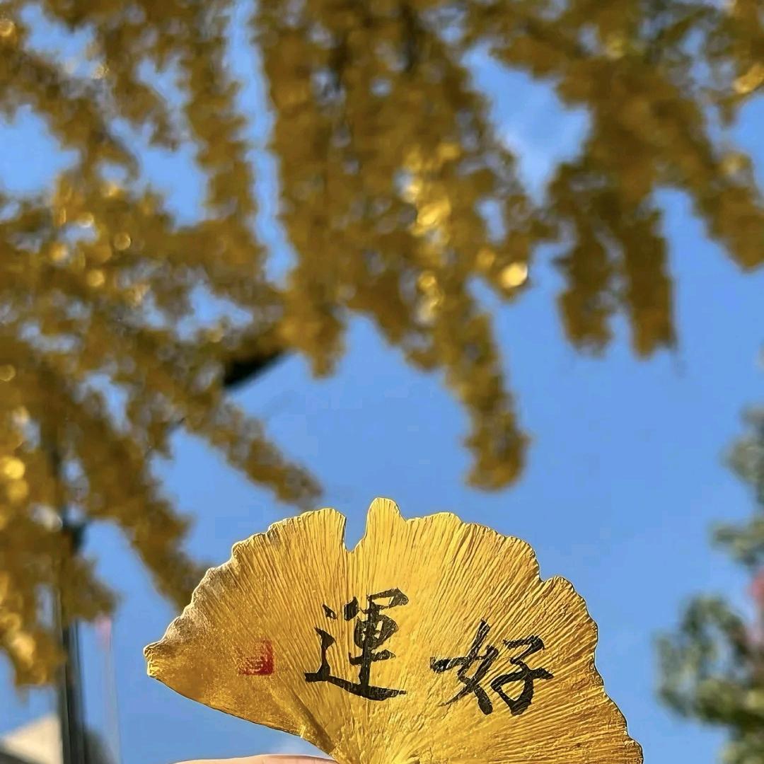 ℳঞᩚ梦辞꧔ꦿ