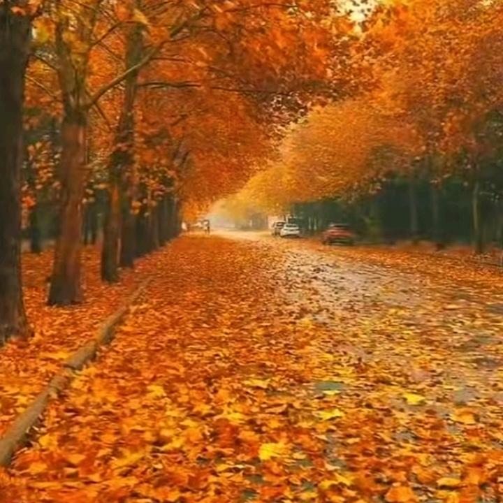 岁月不返