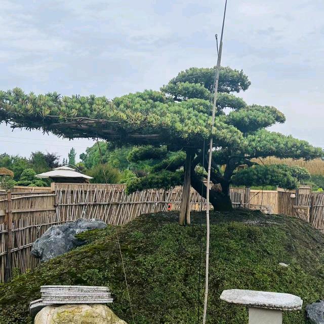 蒲哥郫县生禾园艺场