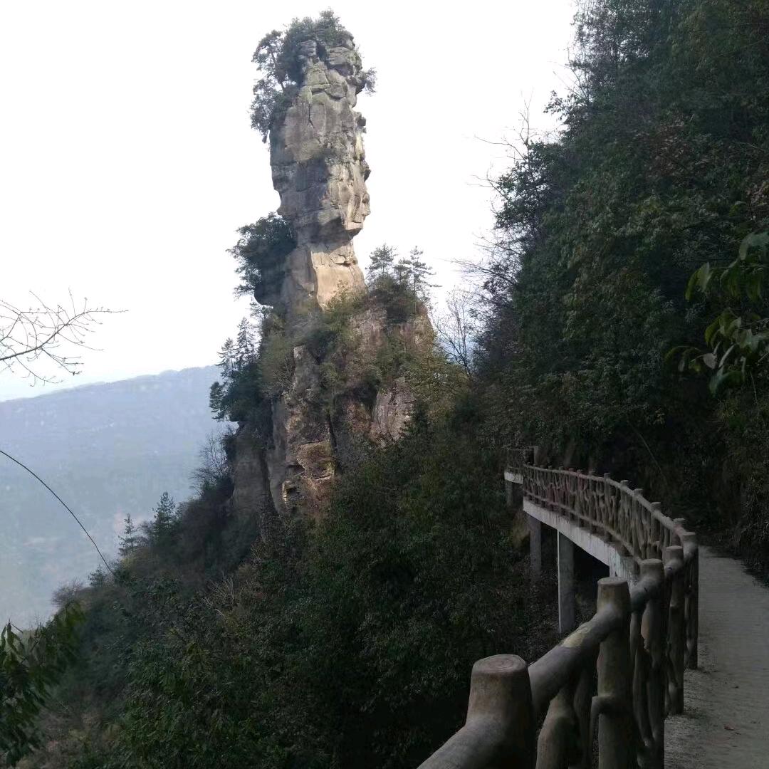 除了坚强，别无选择