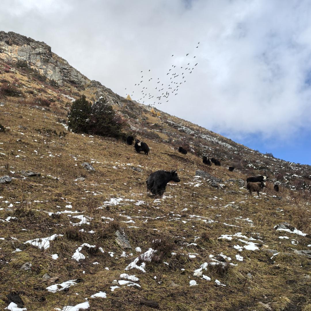 一起走过的日子