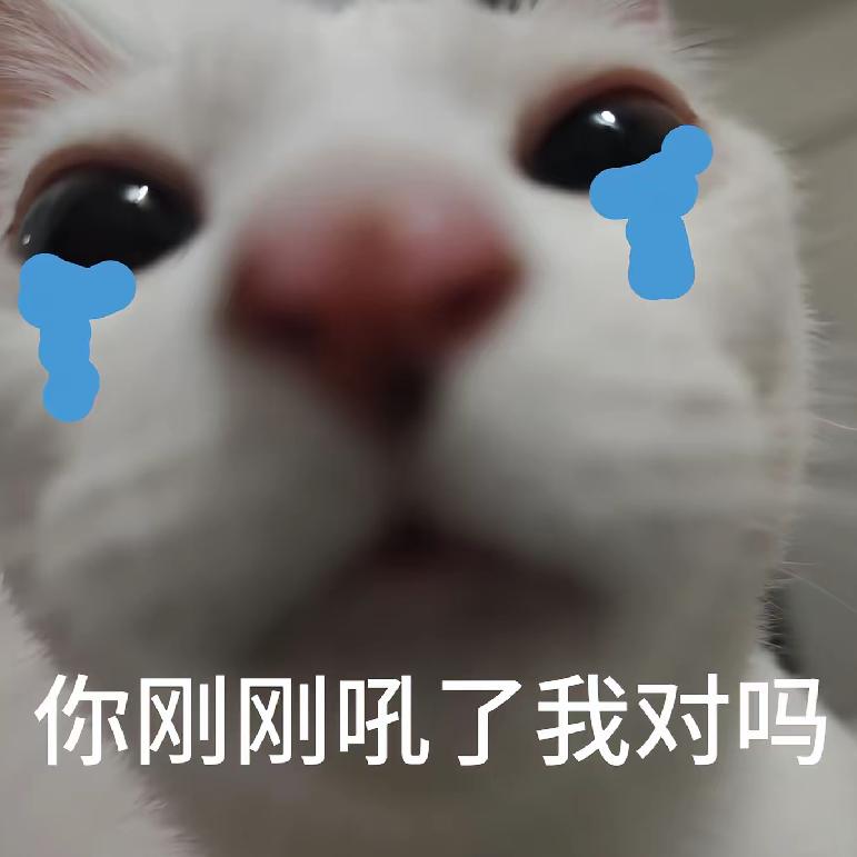 未眠的月亮