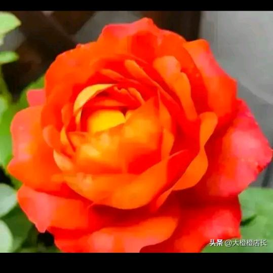 美好的未来❤️❤️❤️