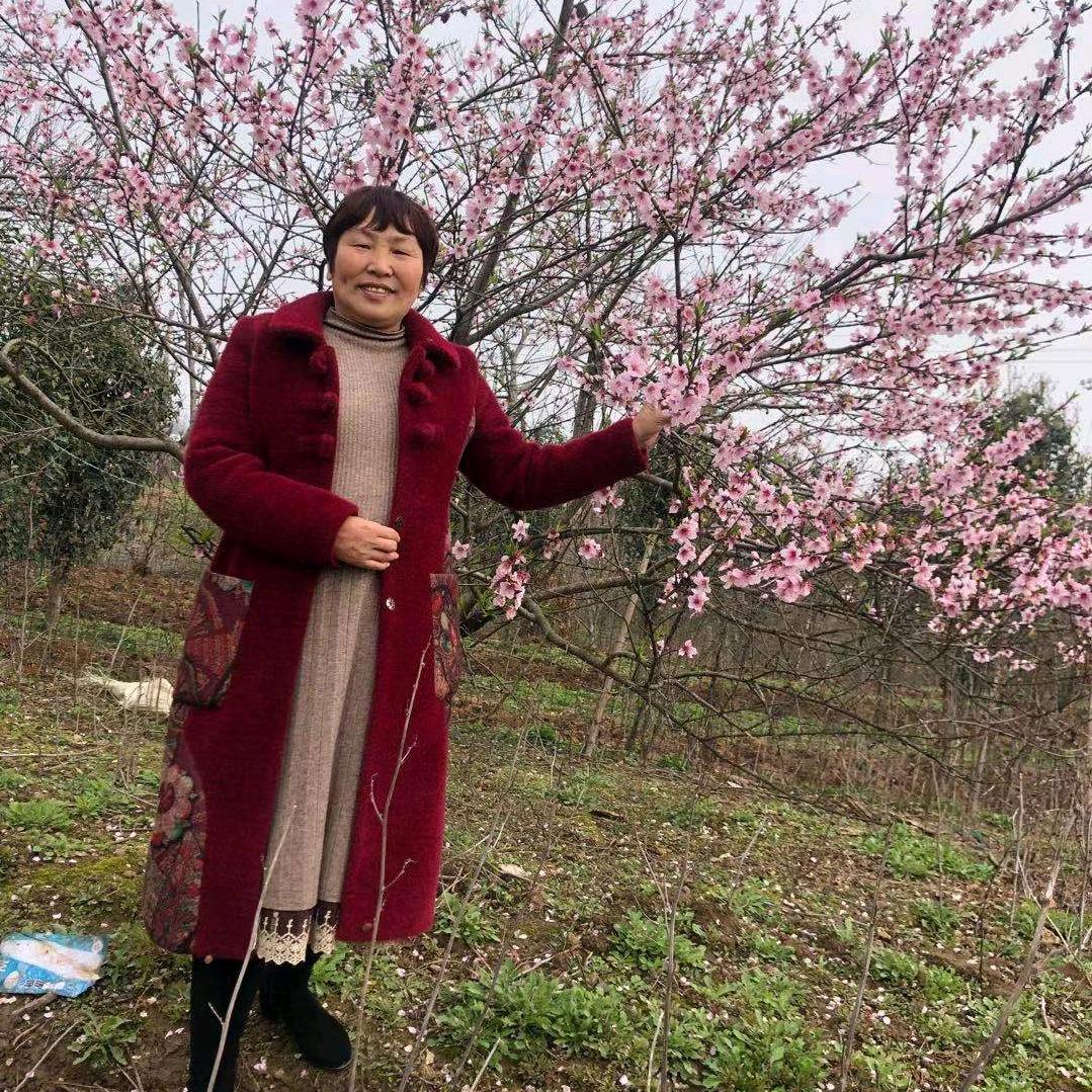 🌺花好月圆🌺