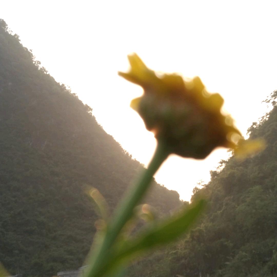 风吹旧夏