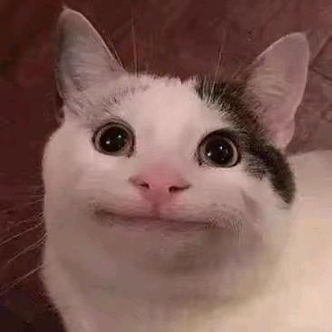 音逐灬