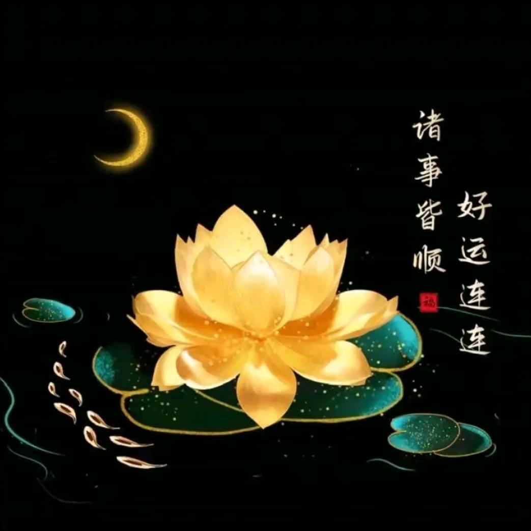 🌹情💔殇🍂葬🚬花🌹