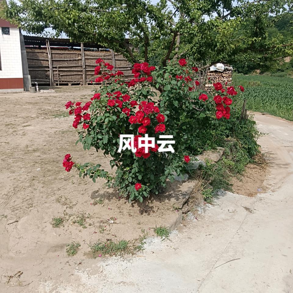 田野瑞翔无人机飞防有限责任公司