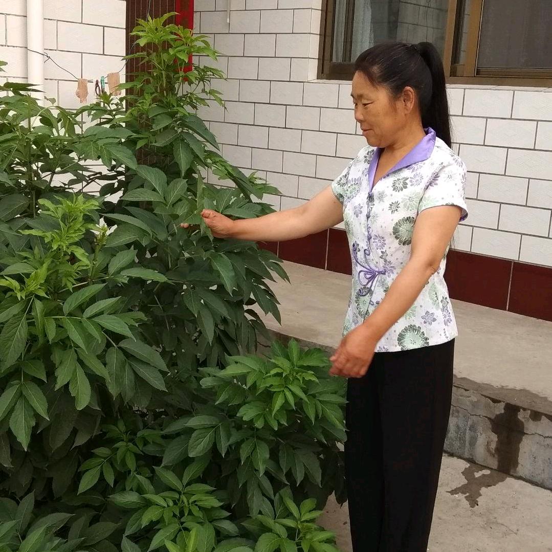 🌹微笑姐自媒体