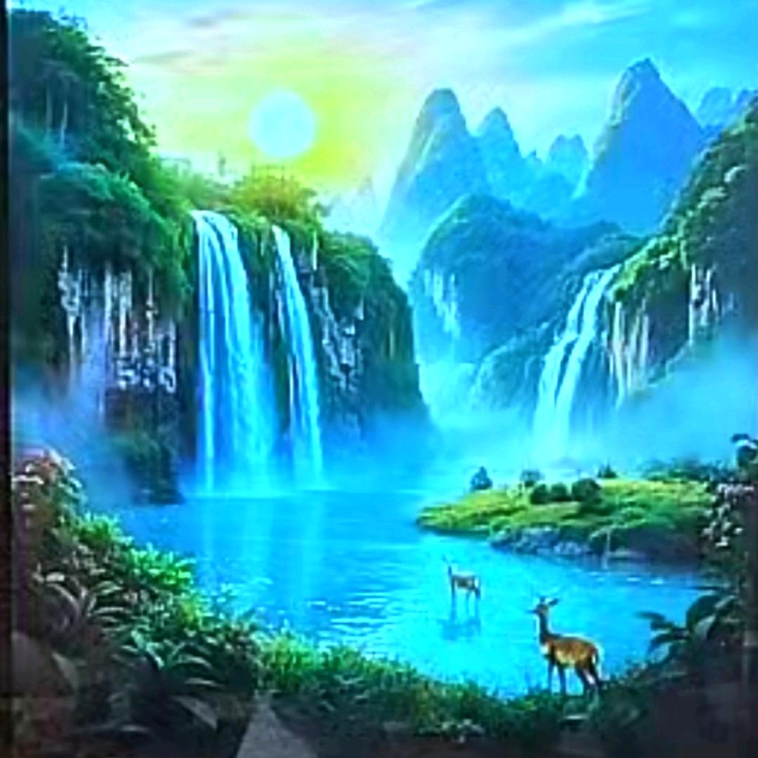 开心（蒋士芹）