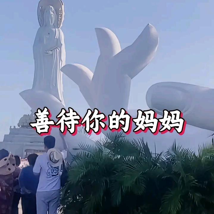 傲雪寒梅？