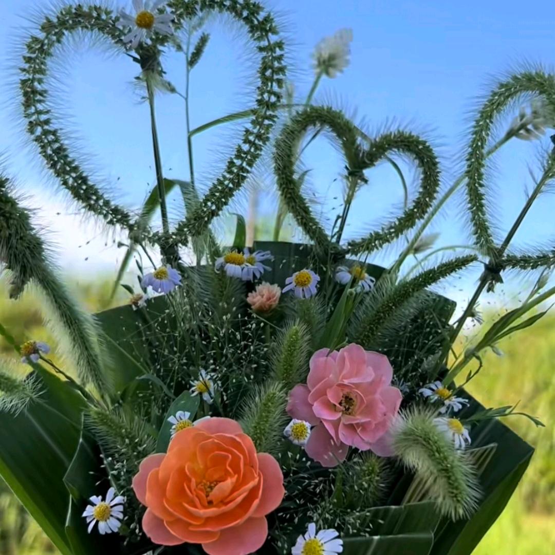 💕᭄红ོ࿆枫叶🍀