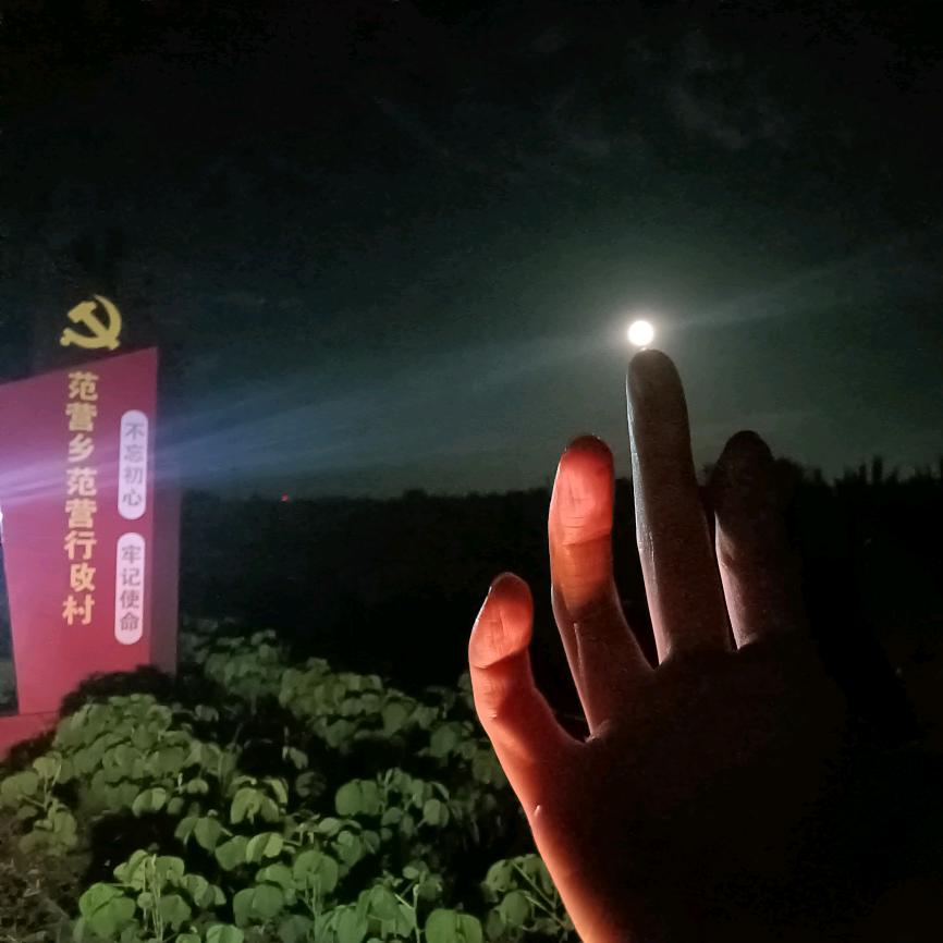 范营剪艺～卢瑞