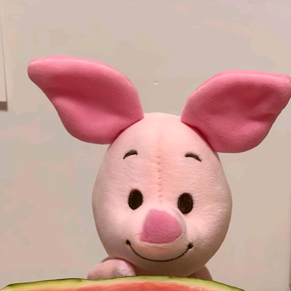 小猪🐽
