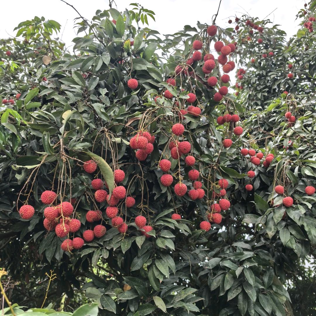 @多姿多彩