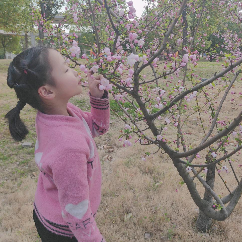 小苹果🍎