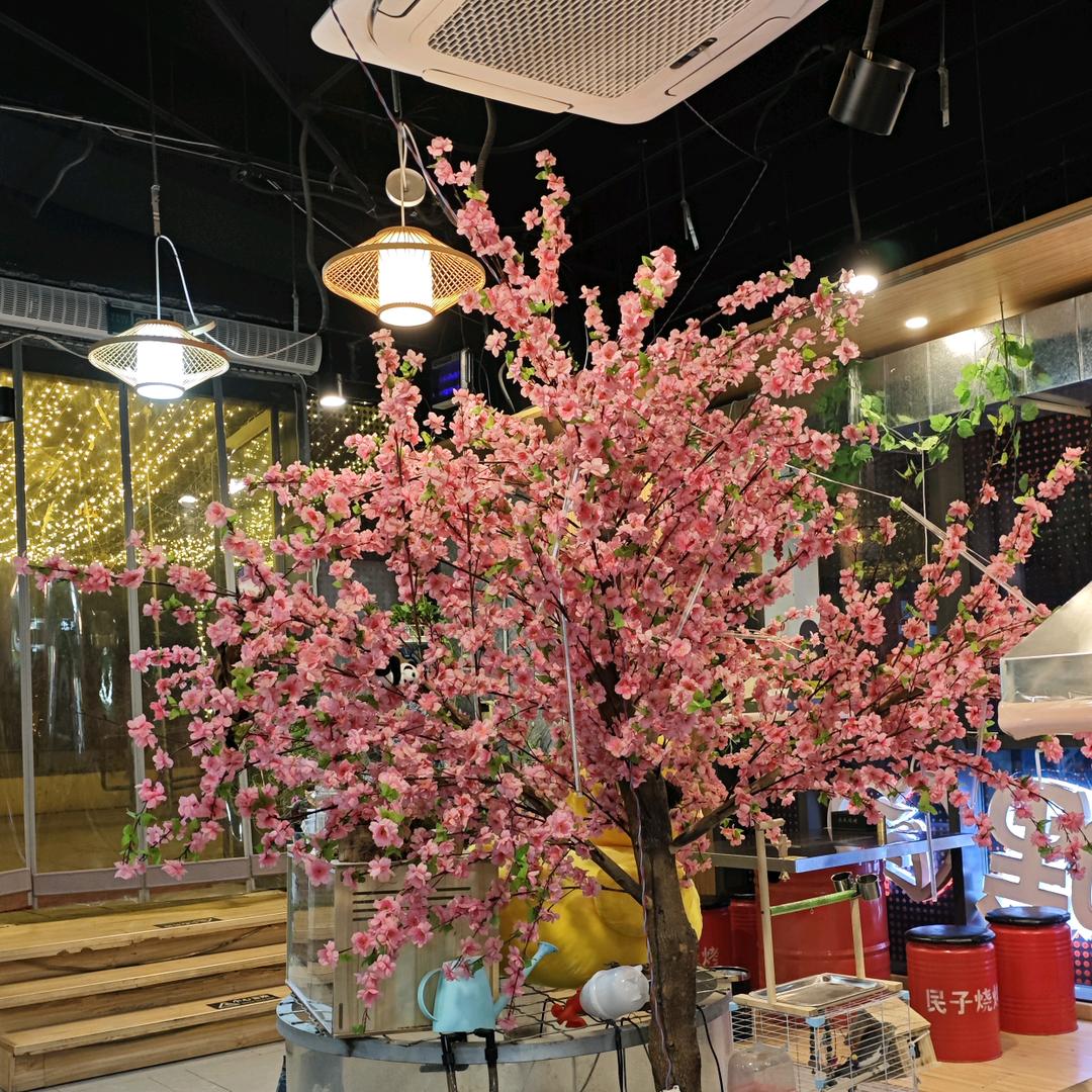 弓       长 张公子