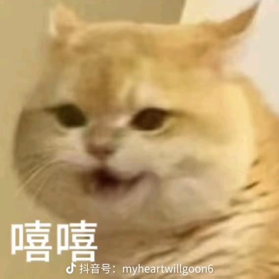 诸参辛芍叛藜芦