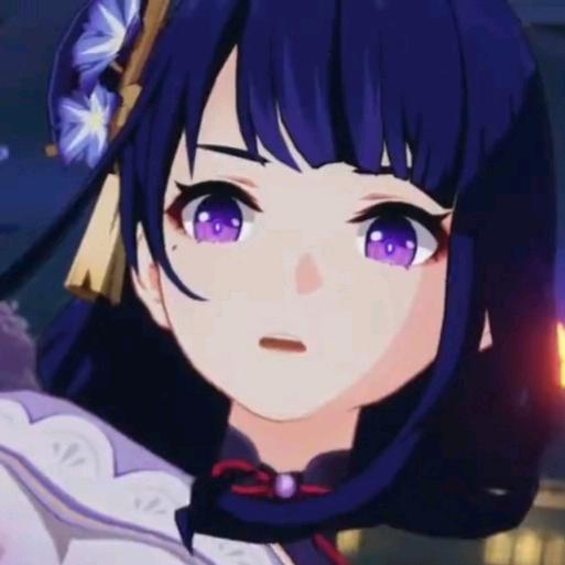 雷电将军的舔狗