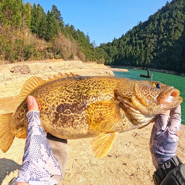 夏木🎣