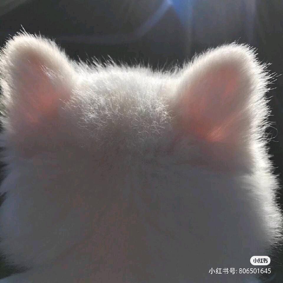 小钏钏