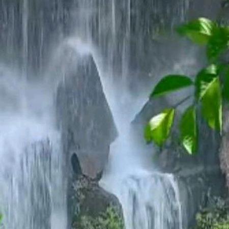 🌸一生有李🌸