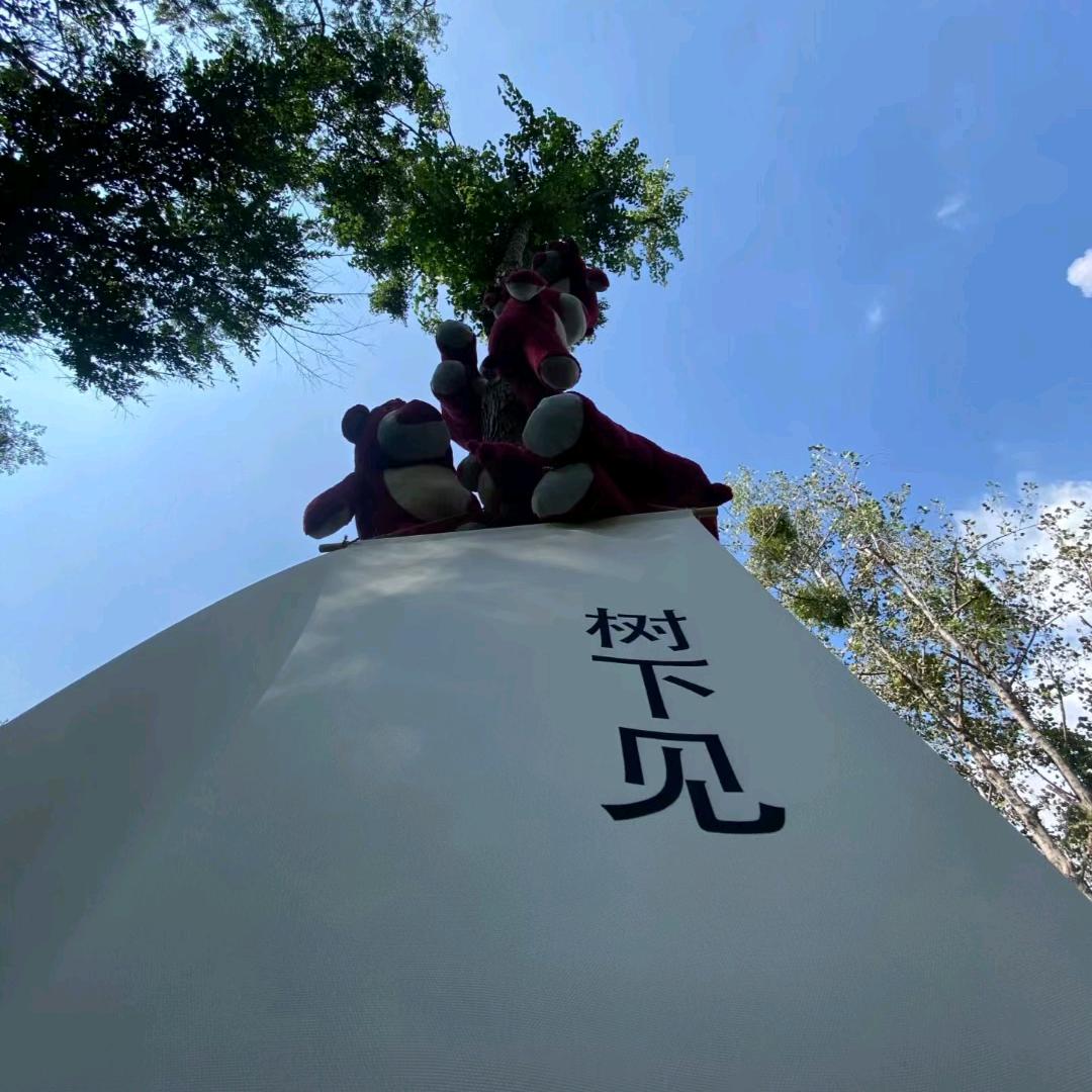 我是小谢