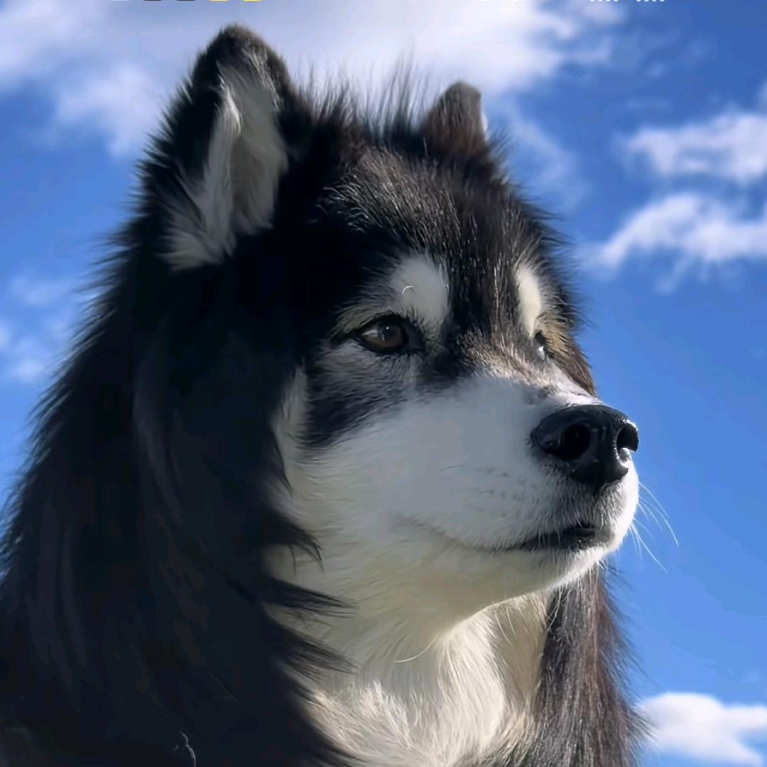 松嵘不是023（想钱想疯版）