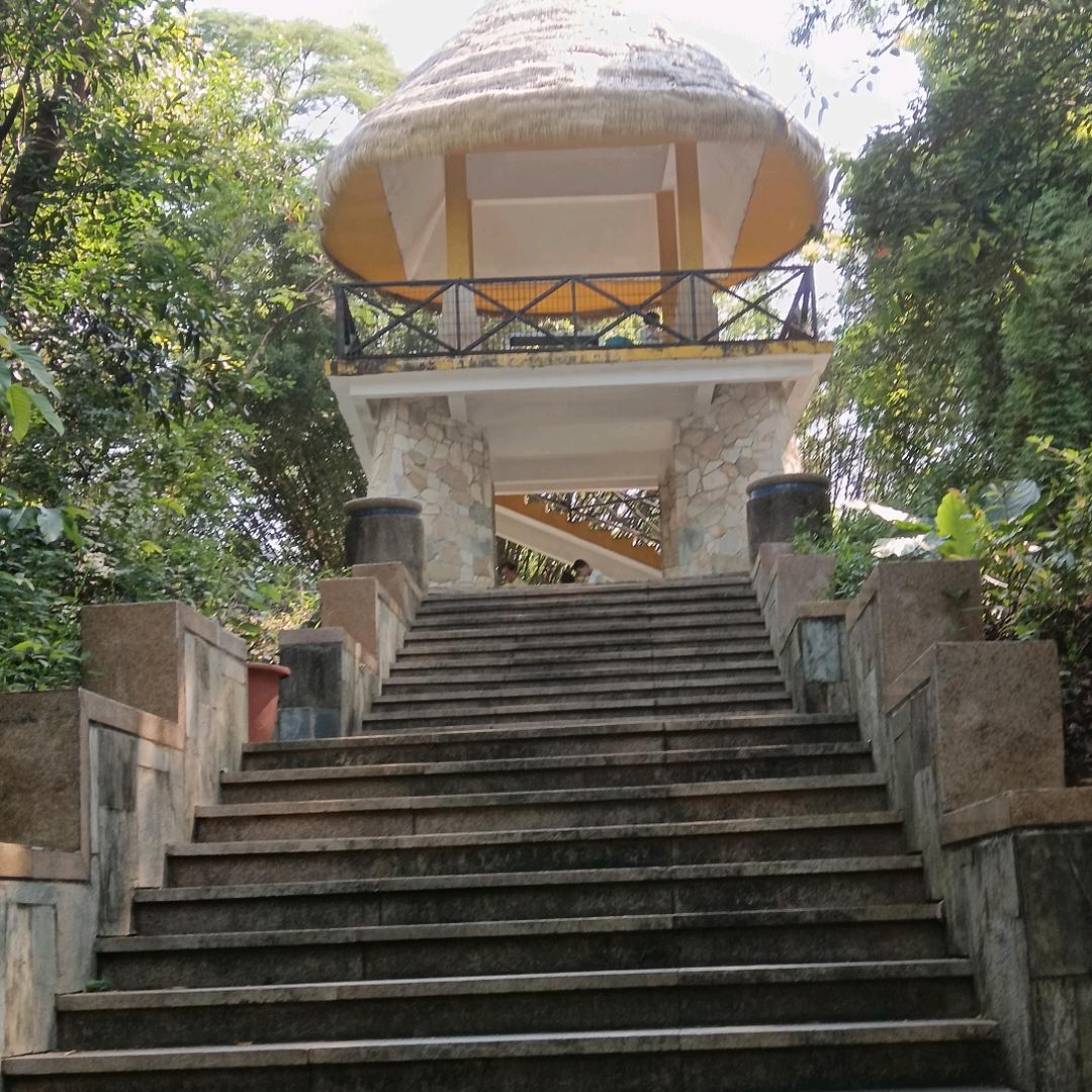 明天会更好