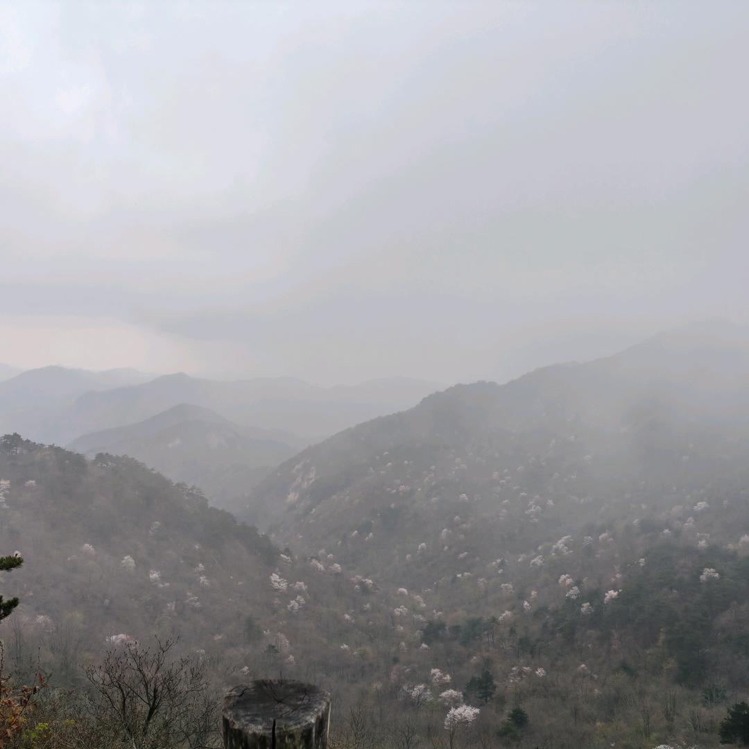 世上再无莉莉安