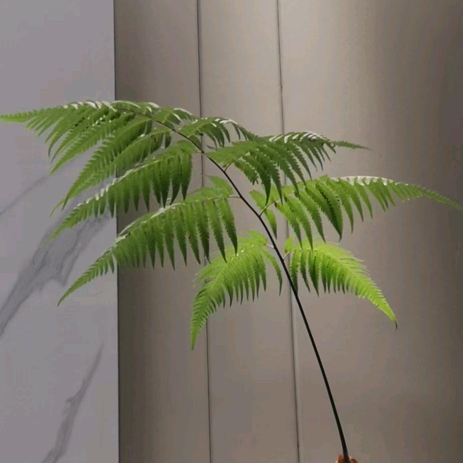 斑马装饰   建成