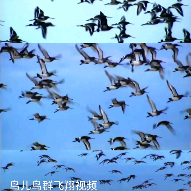 天高云淡