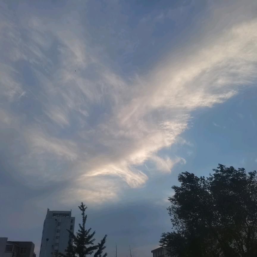 易安闫