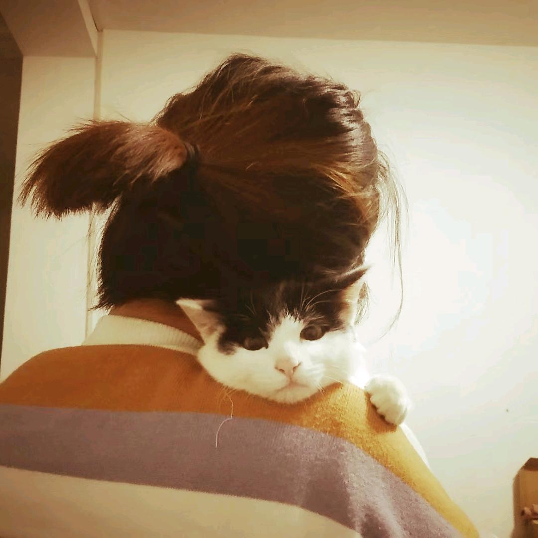 北木南