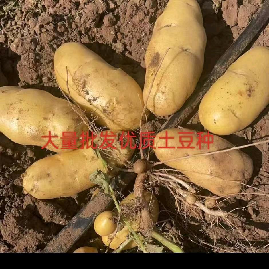 闫庆德
