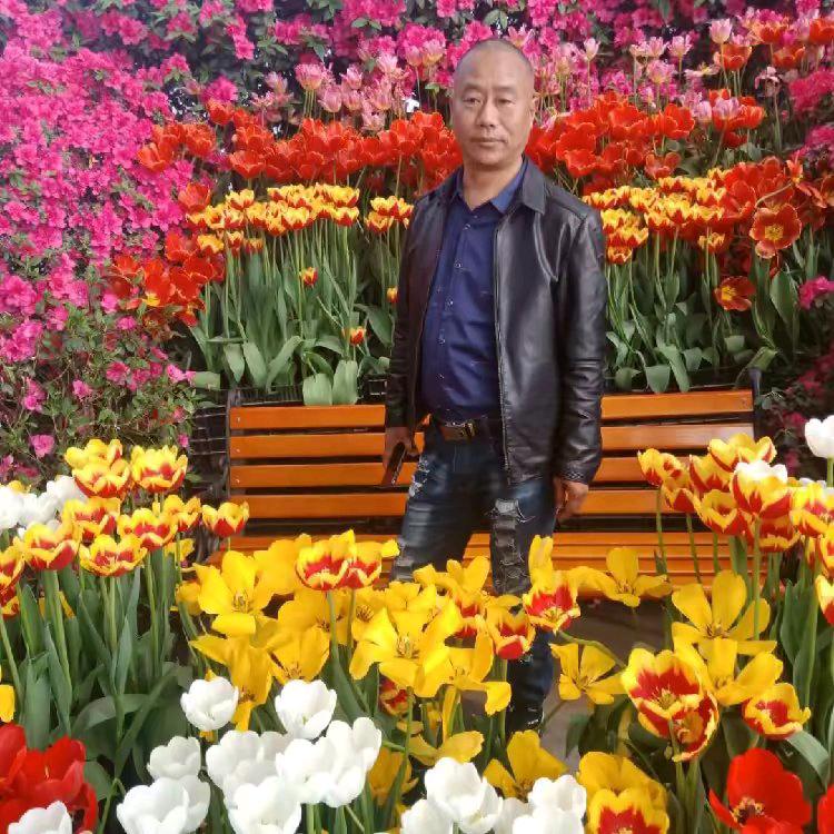 易四