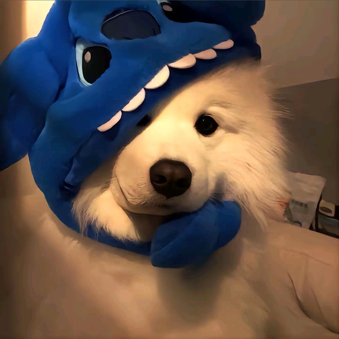 青禾