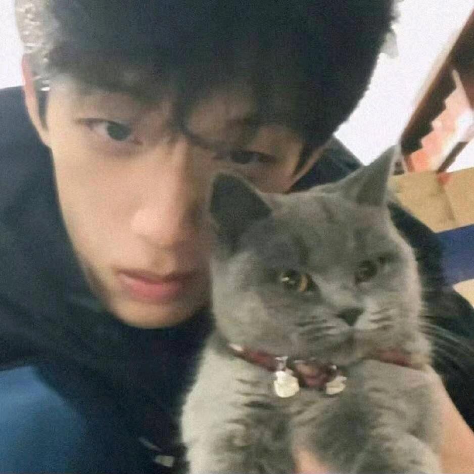爱吃不吃芹菜