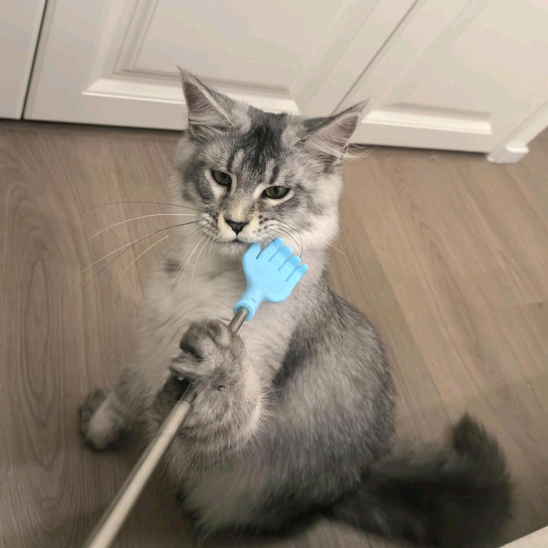 我叫大雄你记住