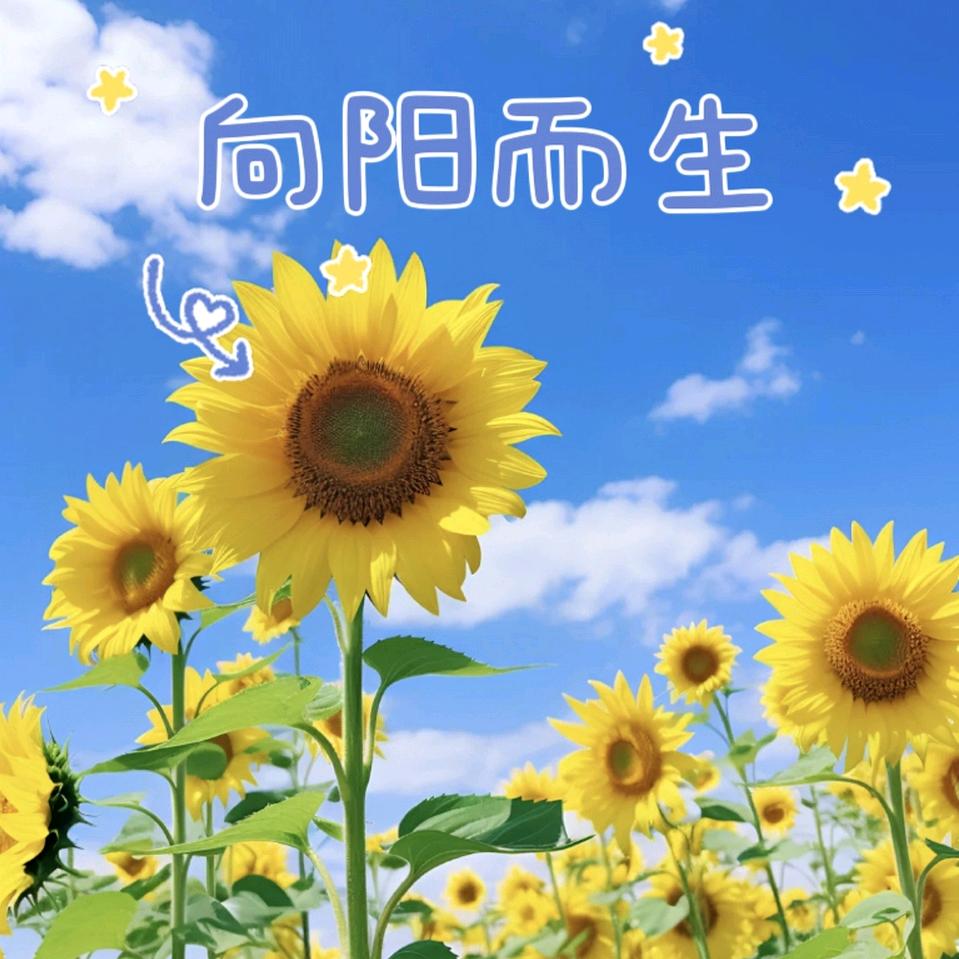 平安顺遂