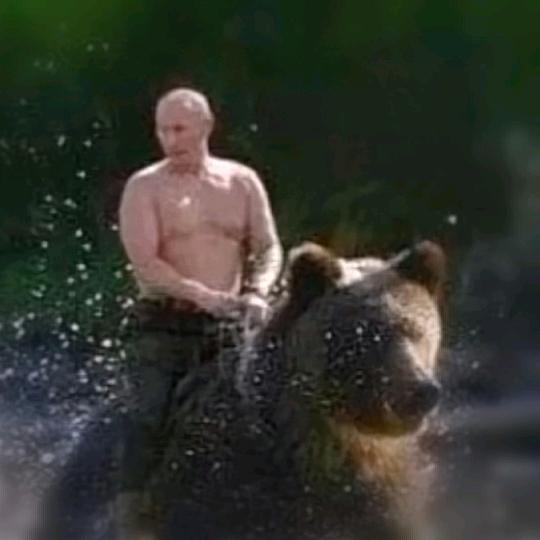 龙金寨第一代掌门