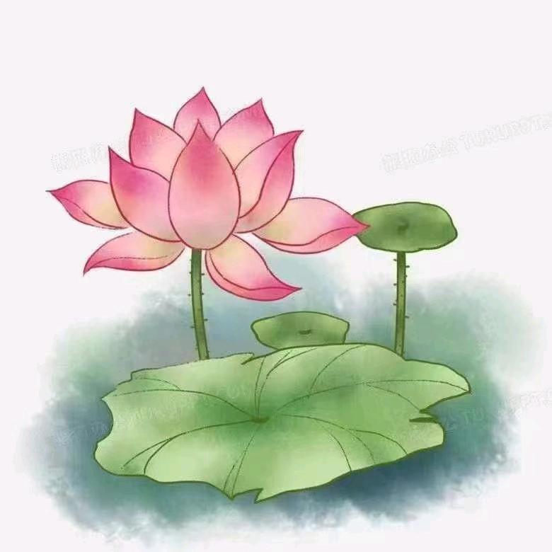 心苦一辈子