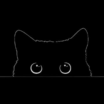 小玉米是只猫🐱
