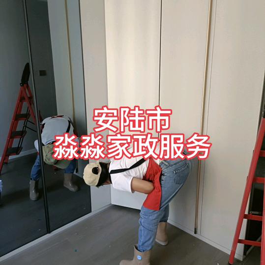 安陆淼淼家政服务