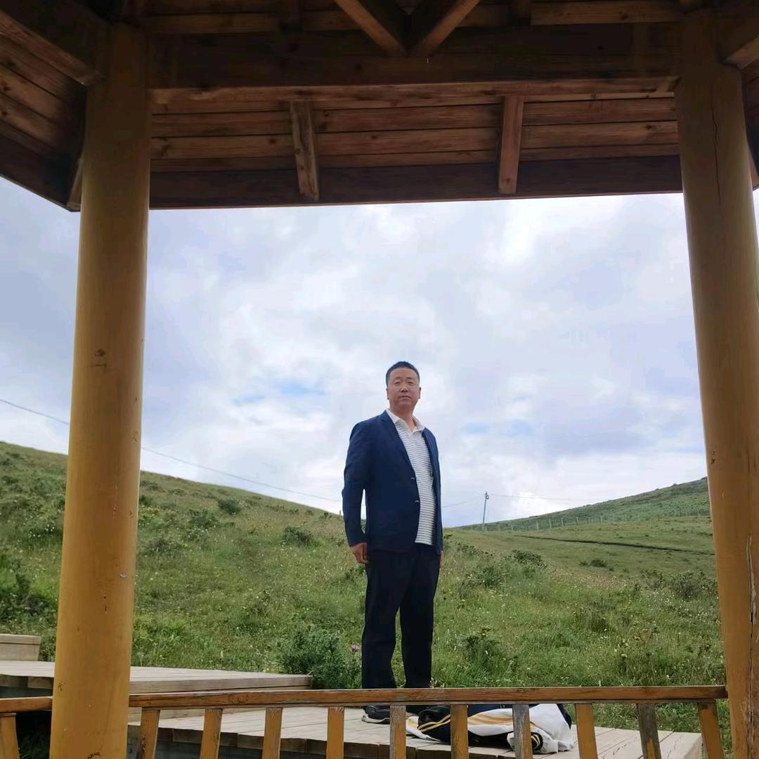 甘肃产地马蹄大黄